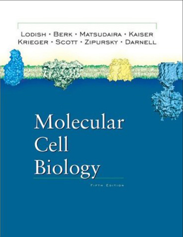 Molecular Cell Biology, Molecular Biology of the Gene